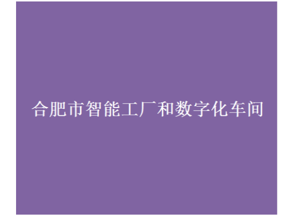 合肥市智能工廠和數(shù)字化車間認(rèn)定條件