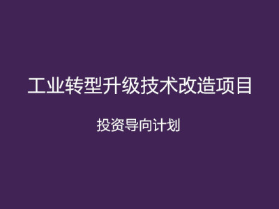 安徽省工業(yè)轉(zhuǎn)型升級技術(shù)改造項目投資導(dǎo)向計劃申報條件